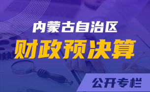 预算/决算
