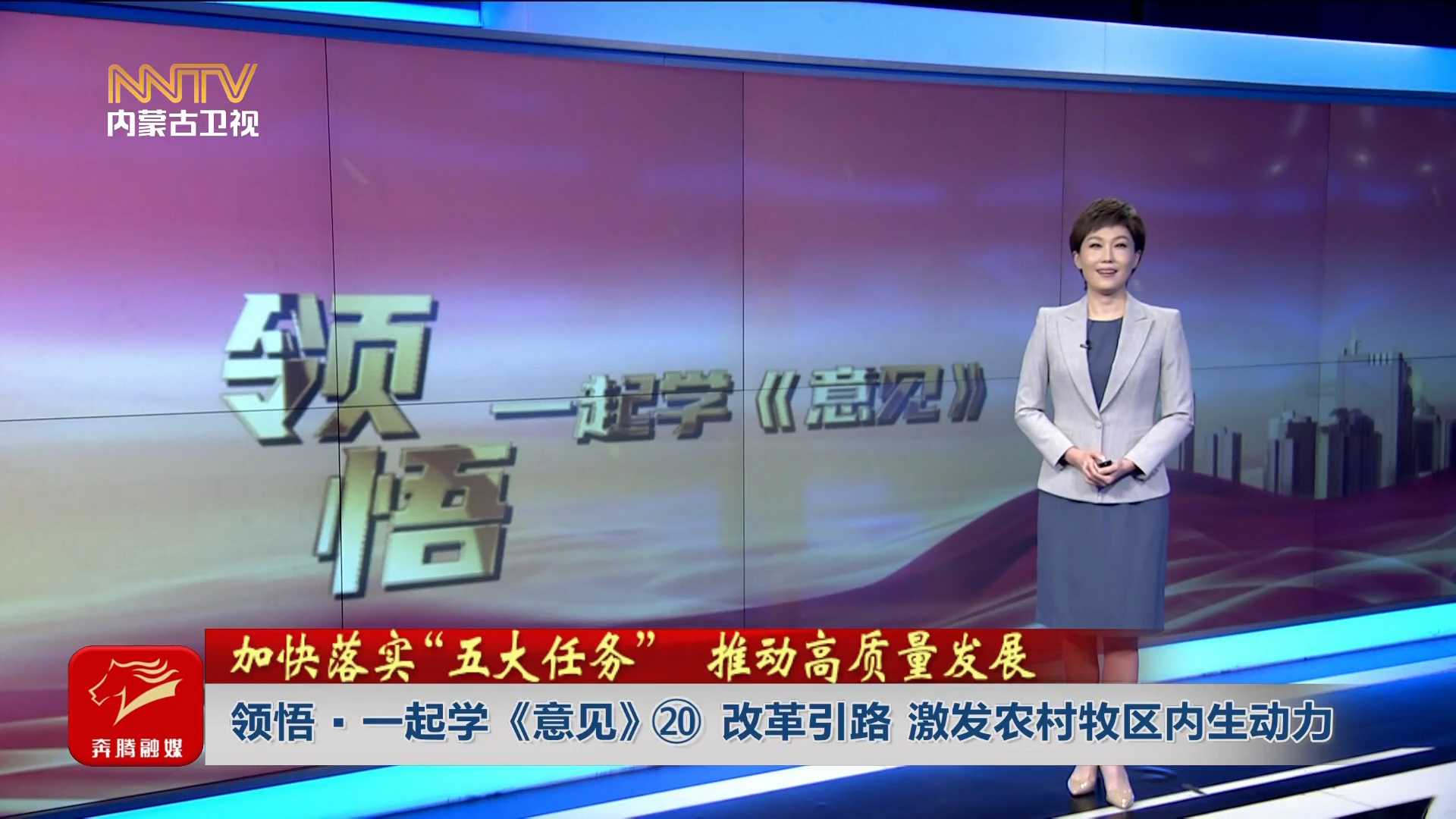 加快落实“五大任务” 推动高质量发展丨领悟·一起学《意见》⑳ 改革引路 激发农村牧区内生动力